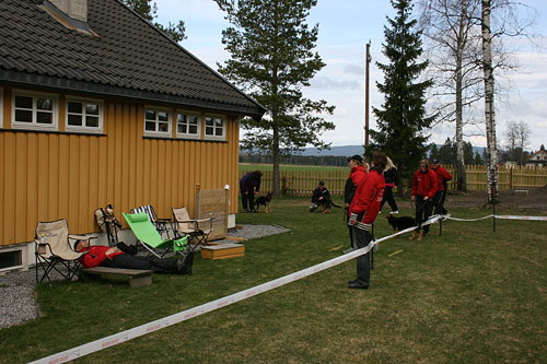 Norsk vinner 2011